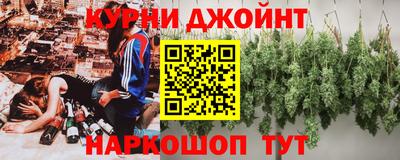 мяу мяу мука Гатчина