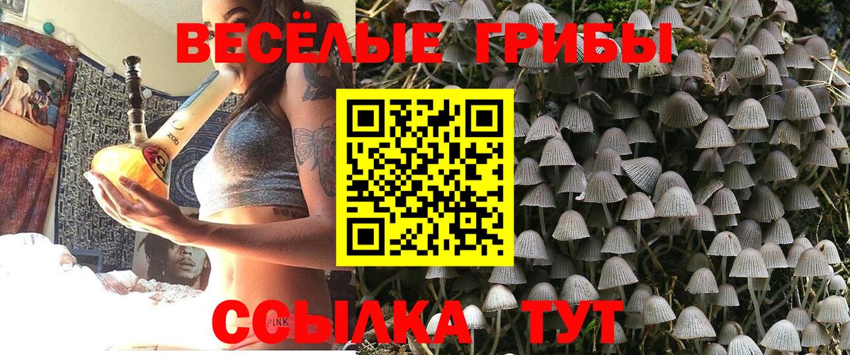Галлюциногенные грибы GOLDEN TEACHER Кандалакша