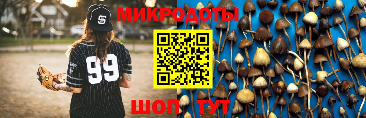 Кандалакша  Псилоцибиновые грибы GOLDEN TEACHER  Вход с VPN 
